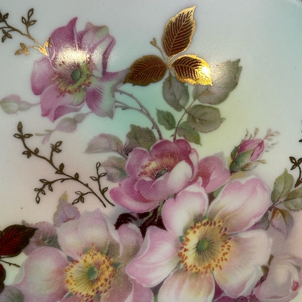Elegant Vintage Floral Square Plate/Bowl with Gold Schumann Arzberg Germany - Picture 3 of 6